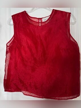 Jordan Red Sheer Sleeveless Camisole dressy statement blouse sz medium
